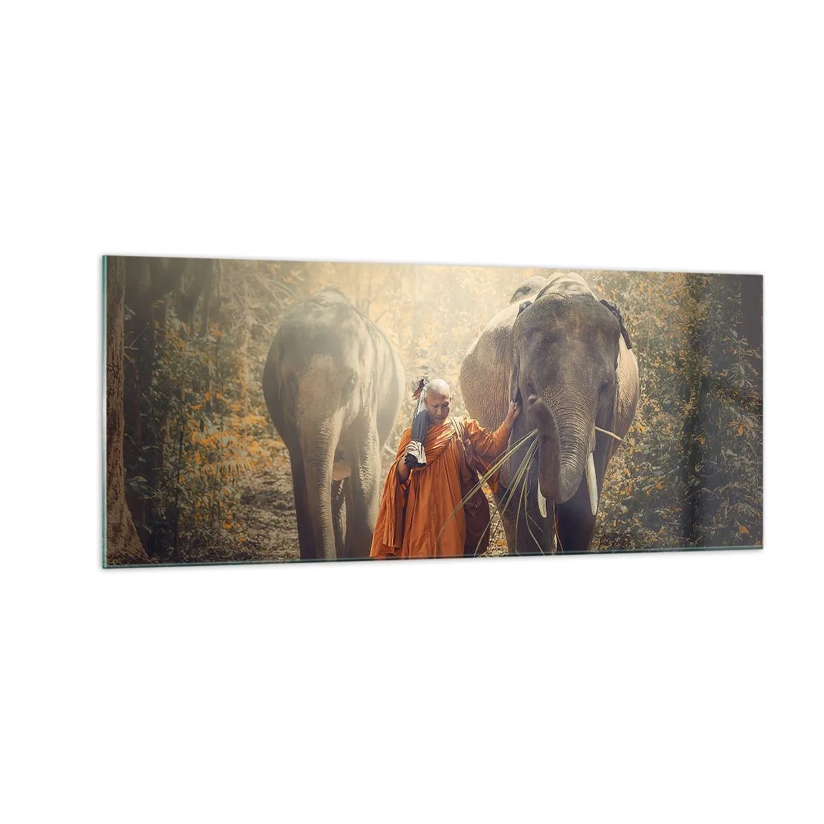 Tablou pe sticlă - Înțelegere deplină - 100x40 cm