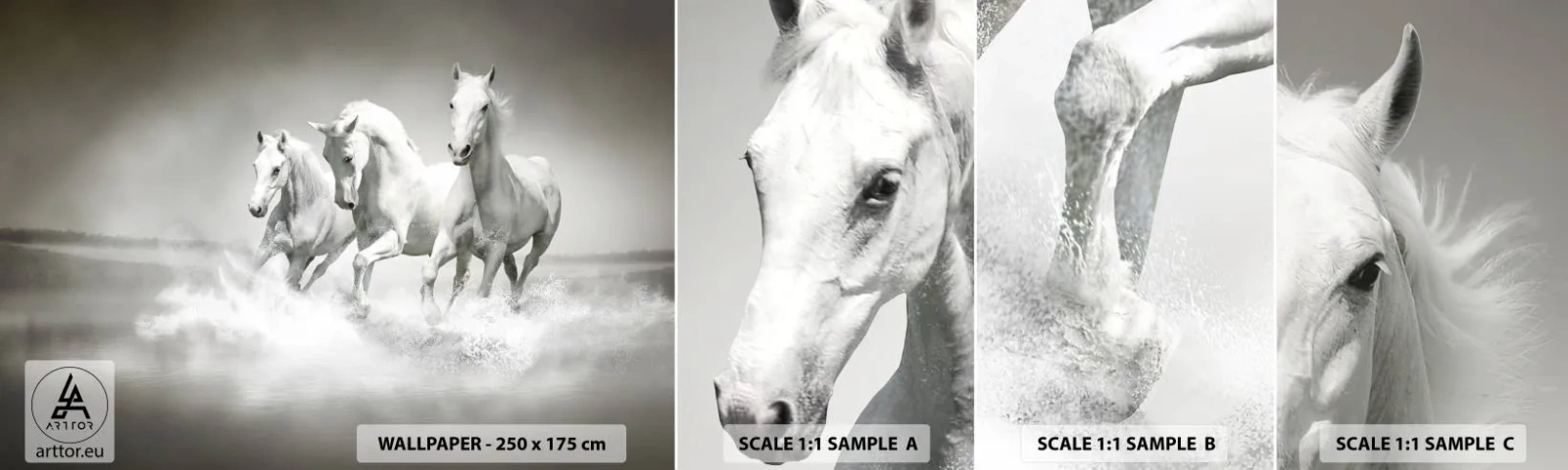 Mostră de Tapet Standard Eco - Nebunie albă - Animale, Cai, Natură - 100x30 cm