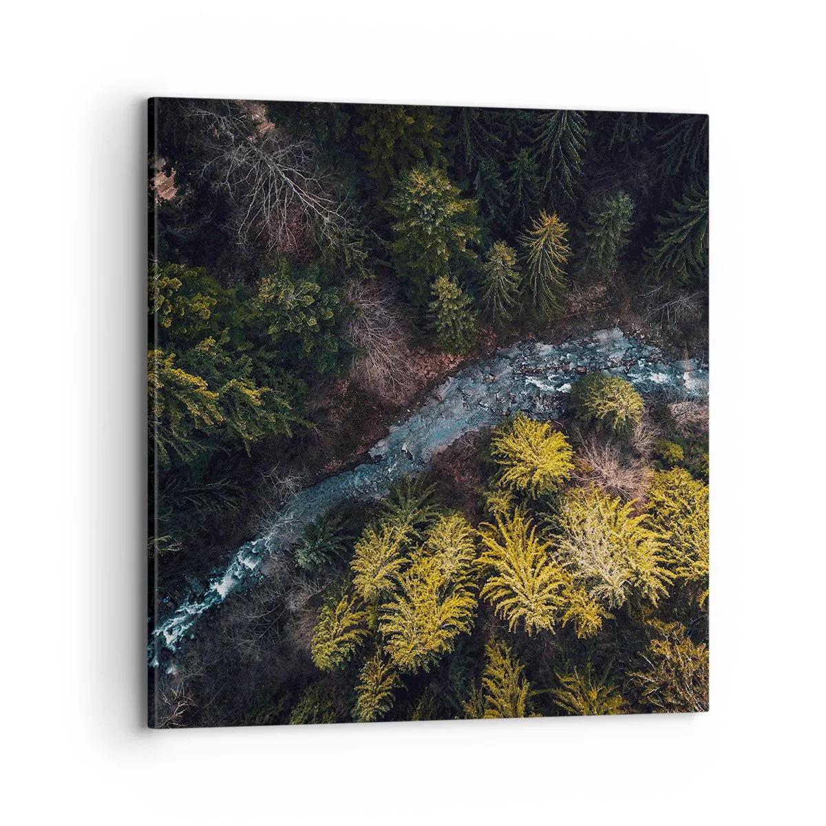 Tablou pe pânză - Rapid și mai rapid - 70x70 cm