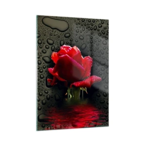 Tablou pe sticlă - Roșu și negru - 50x70 cm
