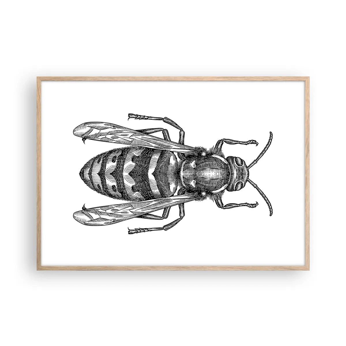 Poster în ramă de stejar deschis - De pe o planetă de insecte - 100x70 cm
