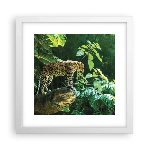 Poster în ramă albă - La vânătoare? - 30x30 cm