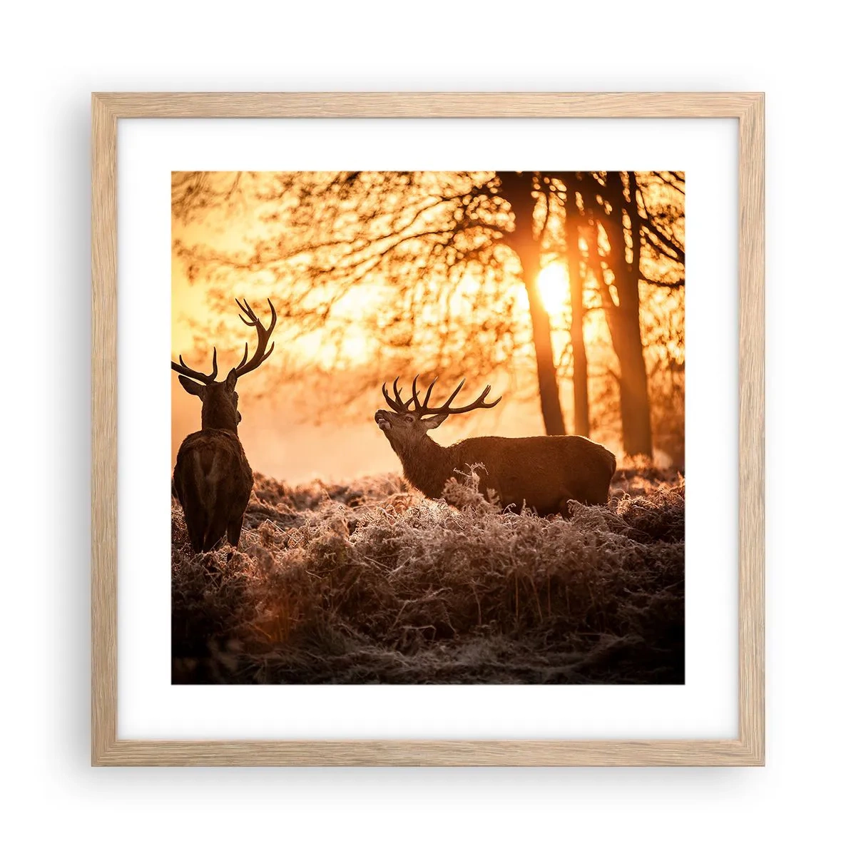 Poster în ramă de stejar deschis - Visul unui vânător - 40x40 cm