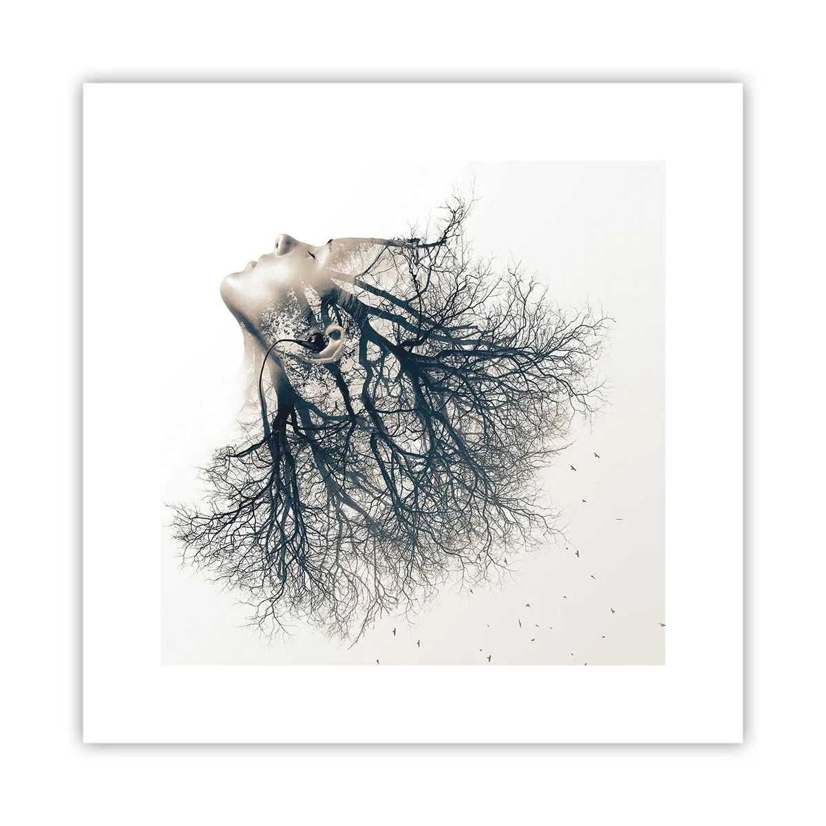 Poster - Ascultând șoapta copacului - 30x30 cm