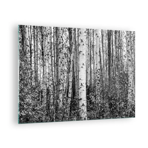 Tablou pe sticlă - Mesteacănii albi și negri creează un peisaj forestier dens - 70x50cm - Coloane de mesteacăn - Decorațiune modernă pentru perete pentru living și dormitor ARTTOR