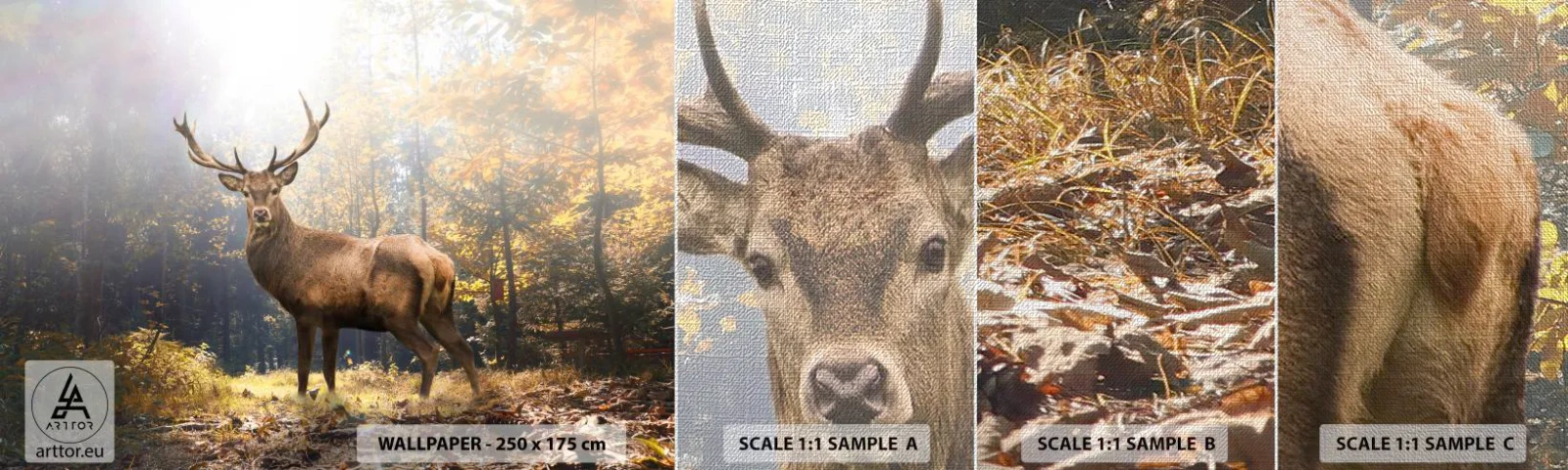 Mostră tapet Premium Canvas - Măreție calmă - Peisaj, Cerb, pădure - 100x30 cm