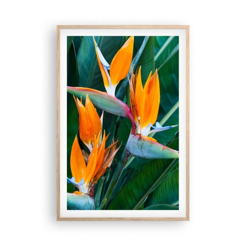 Poster în ramă de stejar deschis - Este o floare sau o pasăre? - 61x91 cm