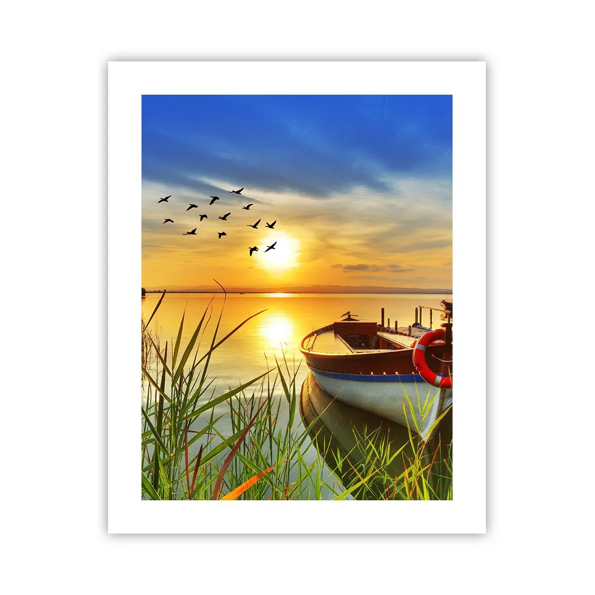 Poster - Cormoranii pleacă deja - 40x50 cm