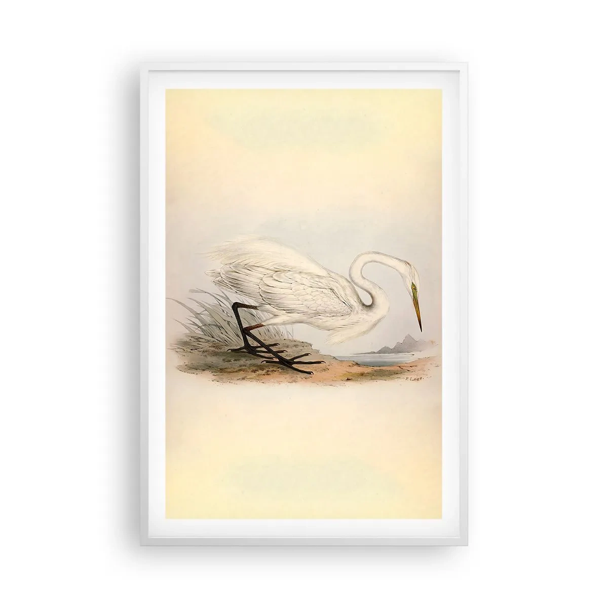 Poster în ramă albă - Doamna în stufărișuri - 61x91 cm
