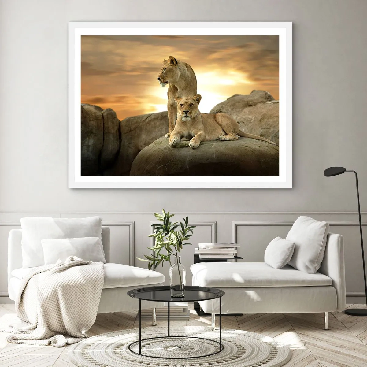Poster în ramă albă - Maiestate regală - 50x40 cm