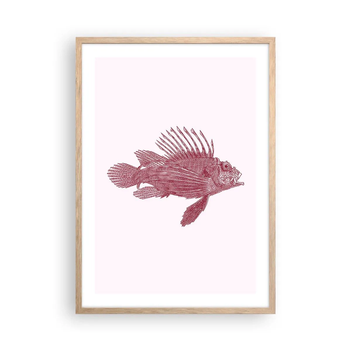 Poster în ramă de stejar deschis - Un locuitor al apelor exotice - 50x70 cm