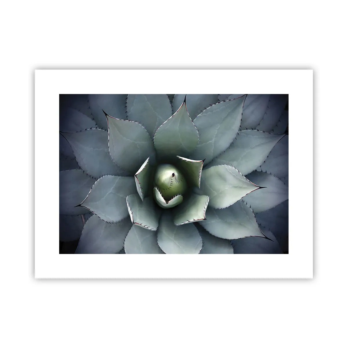 Poster - Momește și avertizează - 40x30 cm