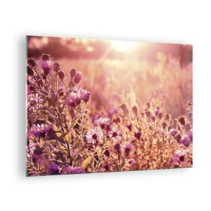 Tablou pe sticlă - Flori mov în pajiște în lumina soarelui care apune - 70x50cm - Înainte ca vara să plece - Decorațiune modernă pentru perete pentru living și dormitor ARTTOR