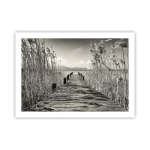 Poster - În intimitatea ierburilor - 70x50 cm