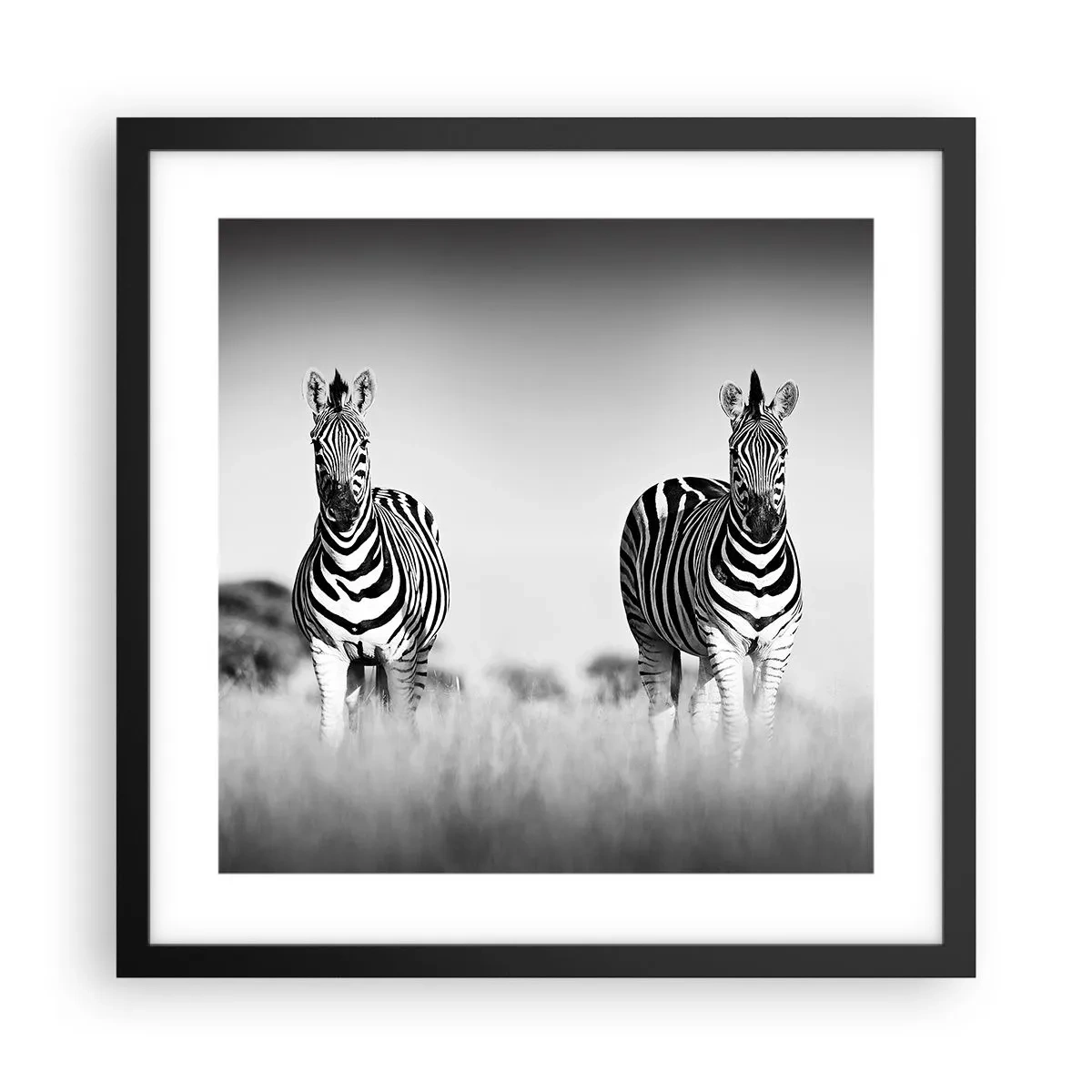 Poster în ramă neagră - Și totuși lumea e albă și neagră - 40x40 cm