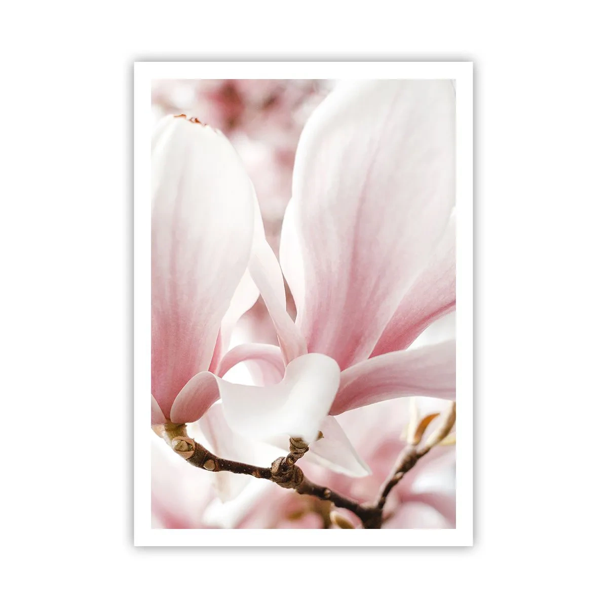 Poster - Imensitatea sensibilității - 70x100 cm