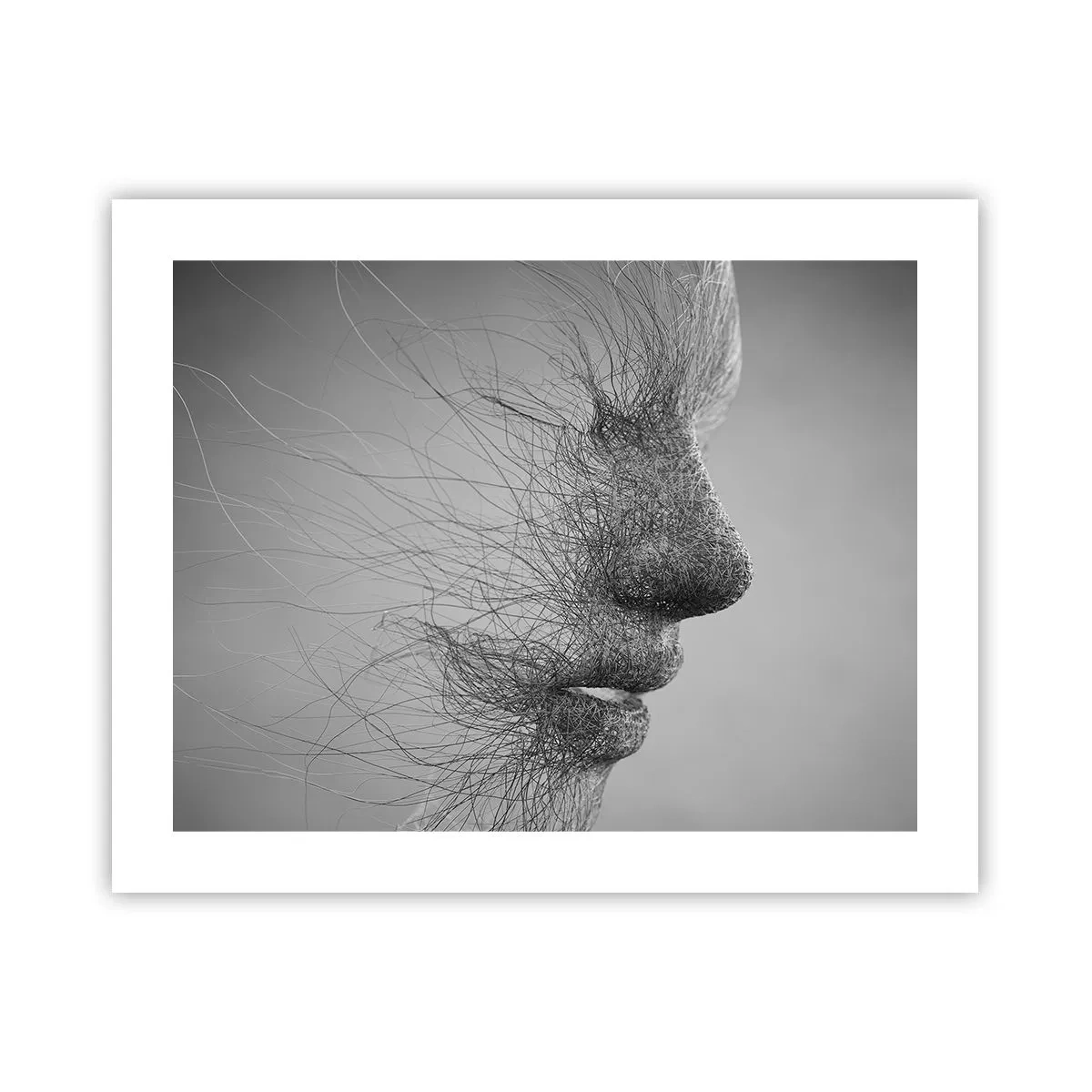 Poster - Spiritul vântului - 50x40 cm