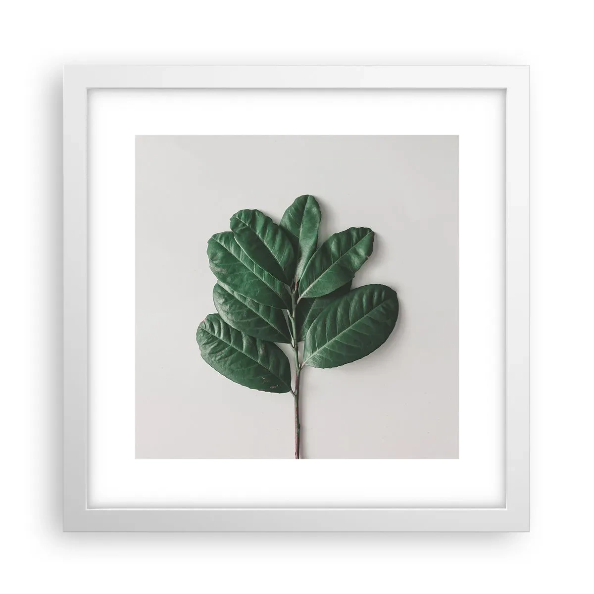 Poster în ramă albă - Desenul naturii însăși - 30x30 cm