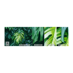 Mostră de Tapet Standard Eco - Scufundă-te în prospețime - Planta tropicala, Frunza de monstera, Natură - 100x30 cm