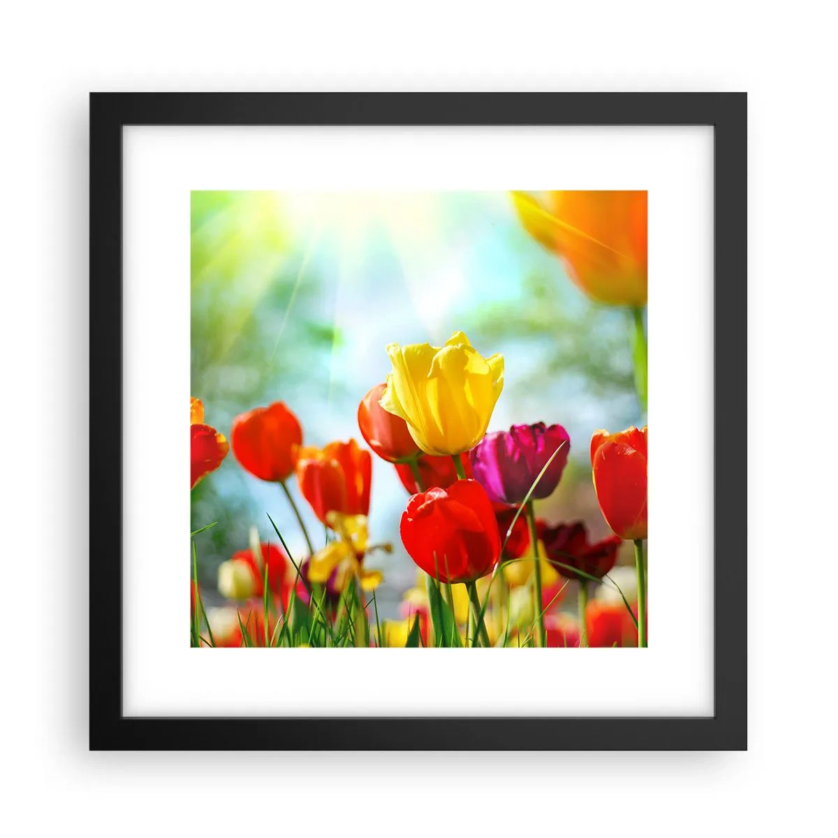 Poster în ramă neagră - Toate culorile soarelui - 30x30 cm
