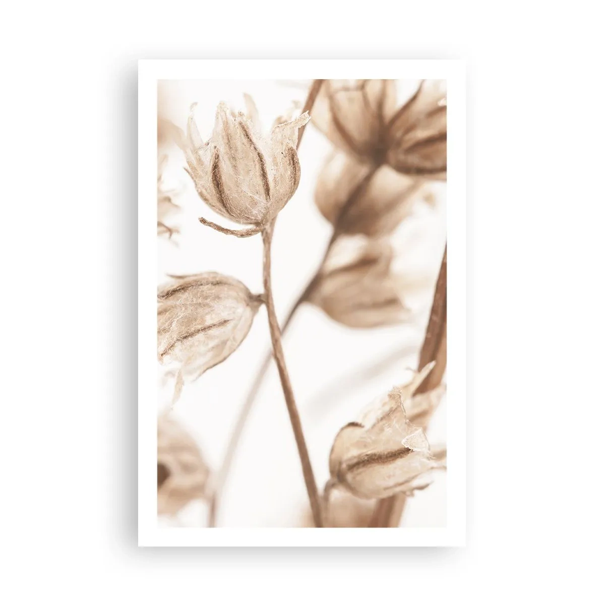 Poster - Sună ca sfârșitul verii - 61x91 cm