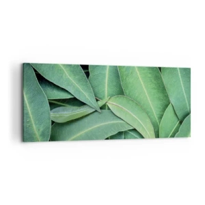 Tablou pe pânză - Suculente și proaspete - 100x40 cm