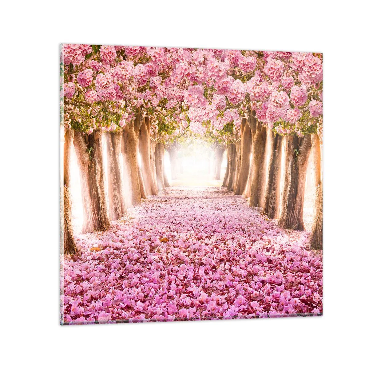 Tablou pe sticlă - Drumul spre paradis - 50x50 cm