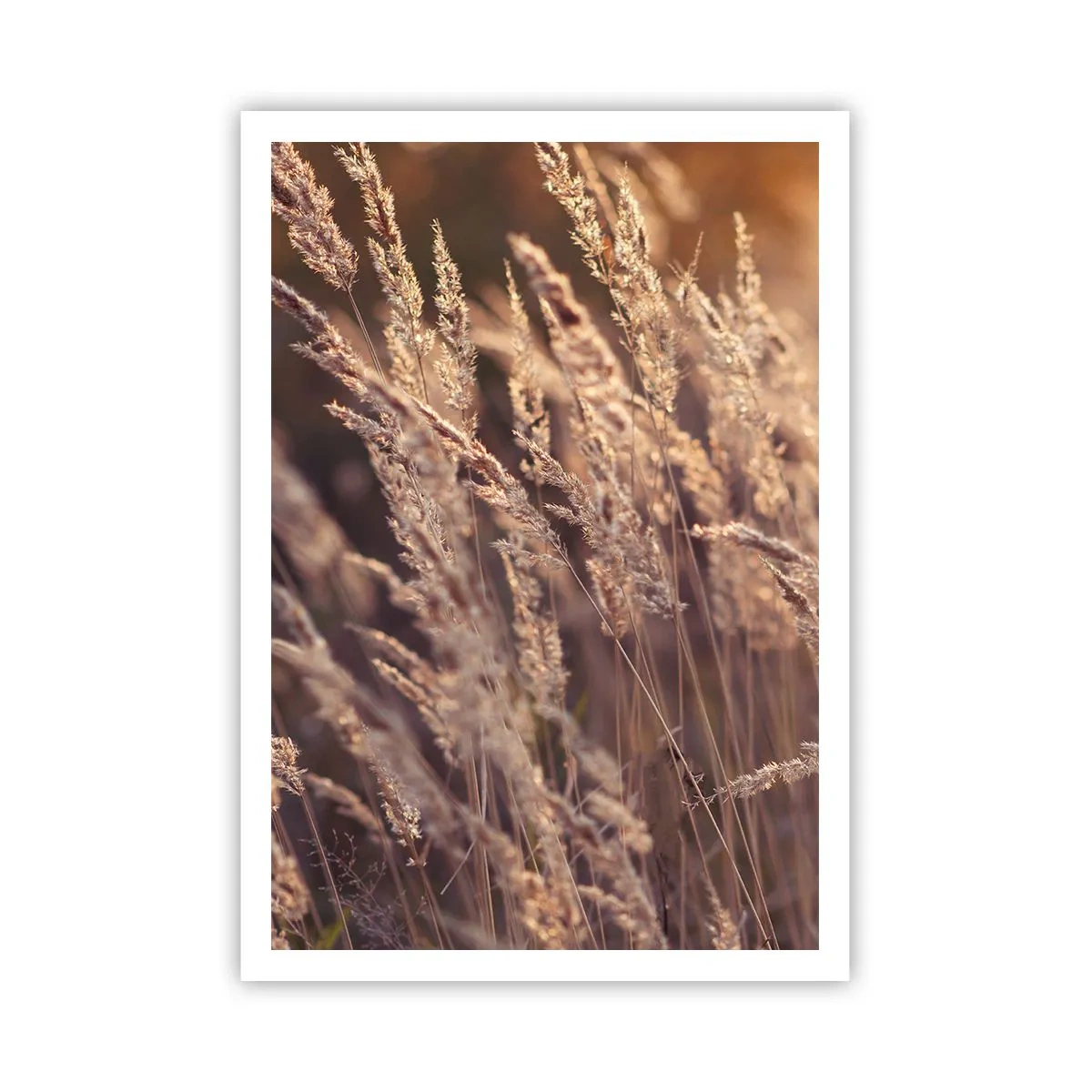 Poster - Gata să întâmpine toamna - 70x100 cm