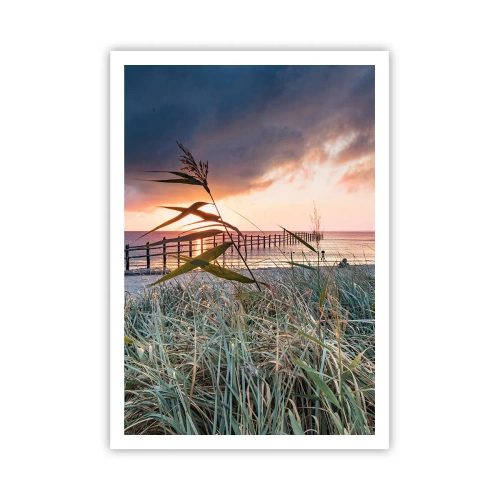 Poster - Nu trece cu vântul - 70x100 cm
