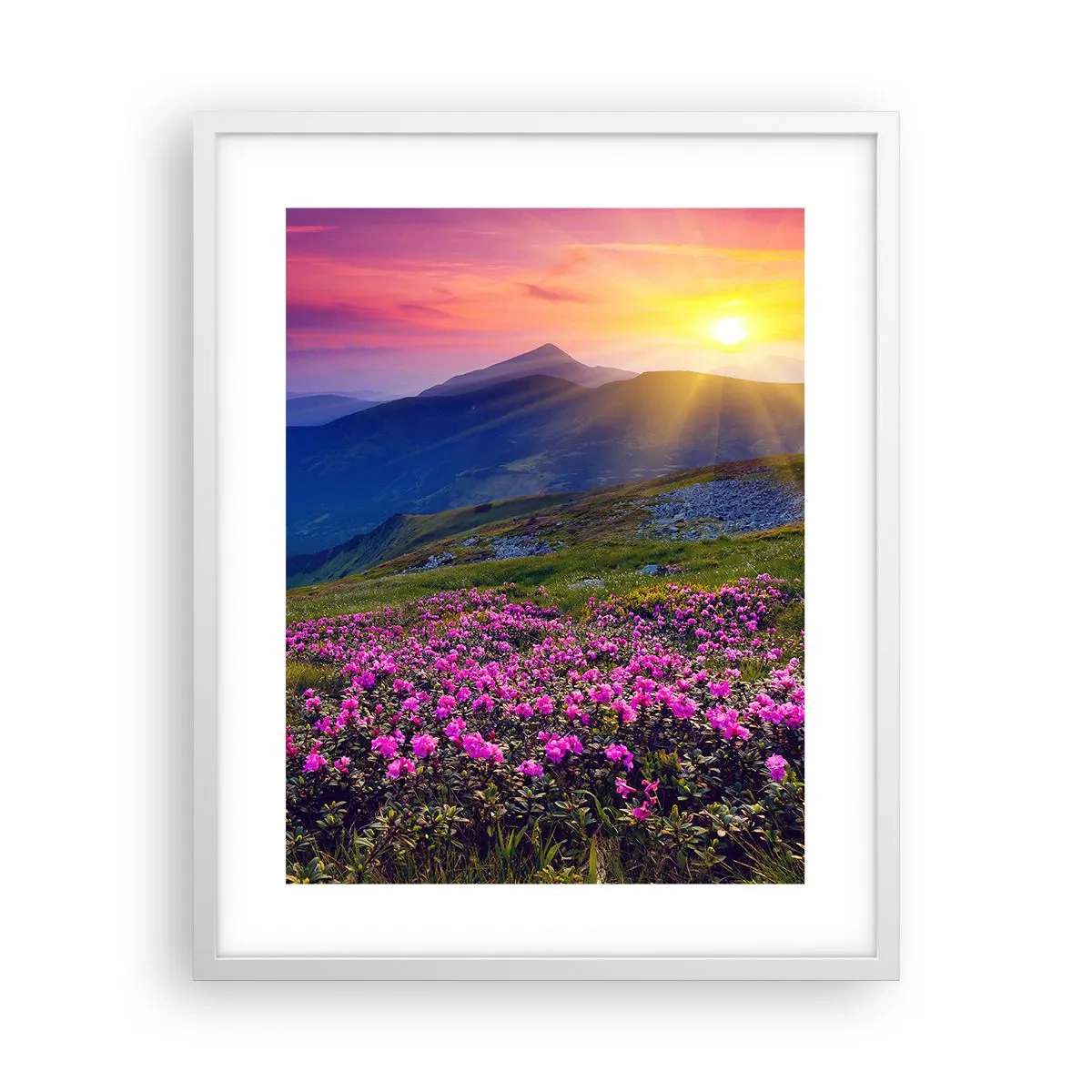 Poster în ramă albă - ... Și peste tot în jur se simte un miros de jneapăn și parfum de ierburi... - 40x50 cm