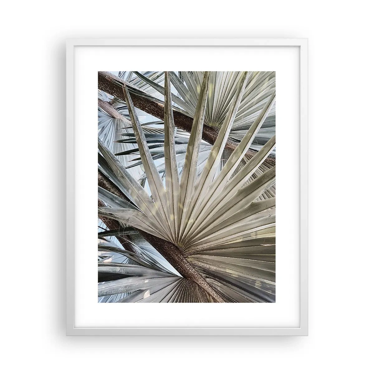 Poster în ramă albă - Evantaie din tropice - 40x50 cm