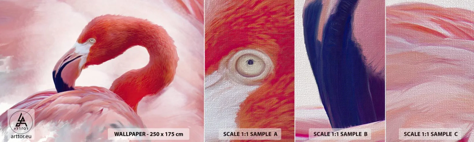 Mostră tapet Premium Canvas - Frumusețea păsărilor - Flamingo, Pasăre, Natură - 100x30 cm