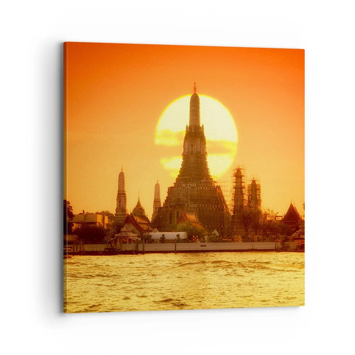 Tablou pe pânză - Spre soare, mereu spre soare - 70x70 cm