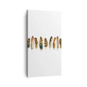 Tablou pe pânză - Variație cu pene - 45x80 cm