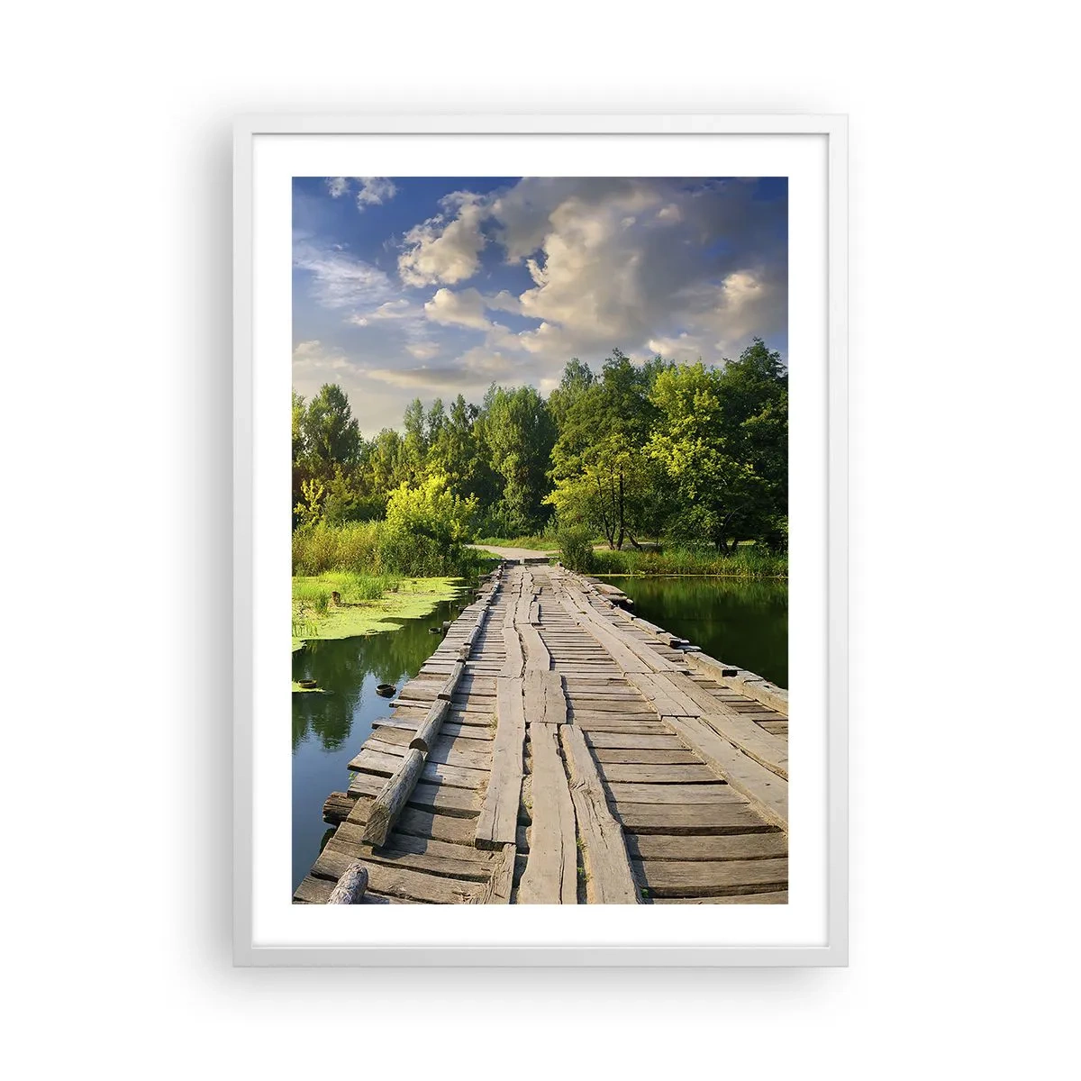 Poster în ramă albă - Vară, vară peste tot - 50x70 cm