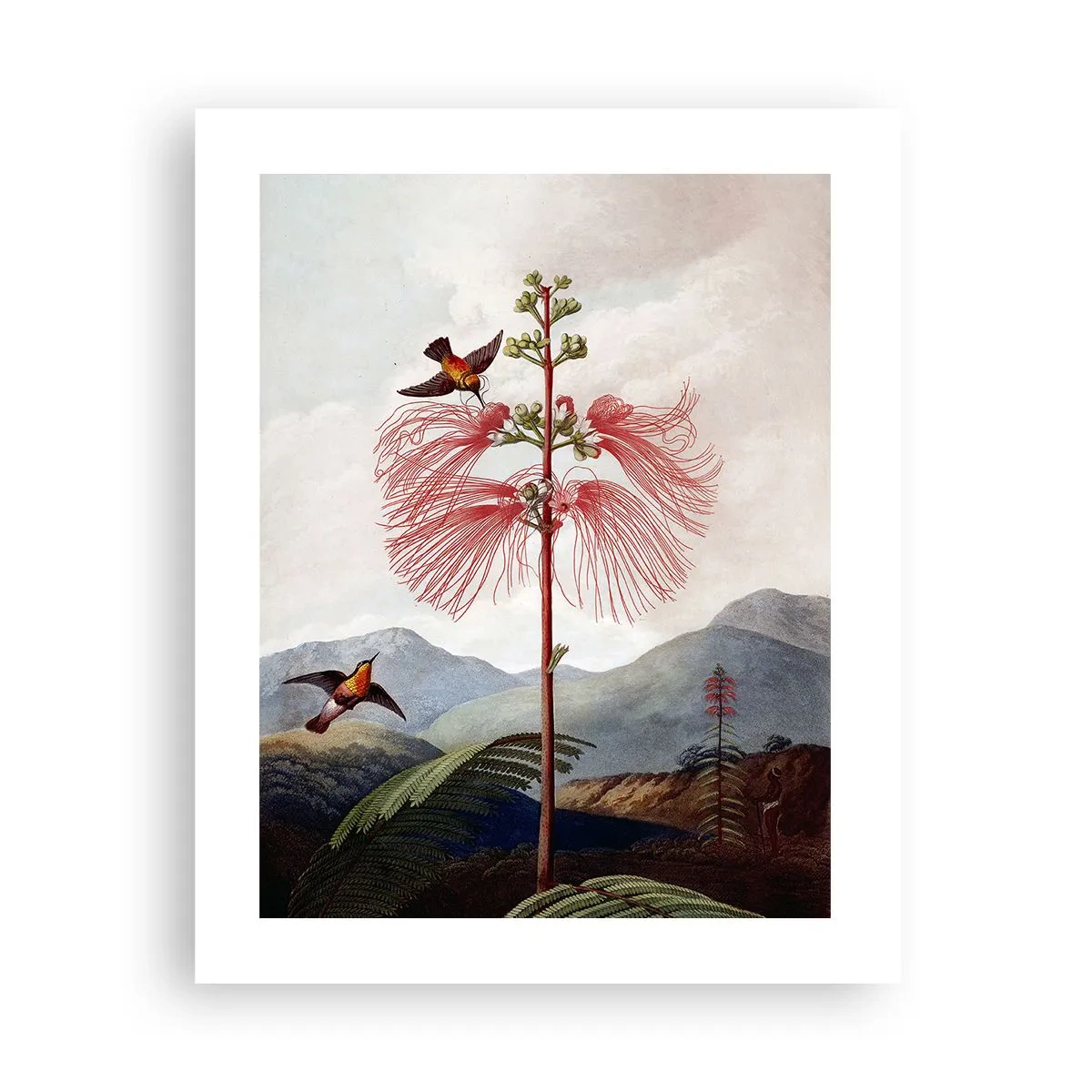 Poster - Într-un paradis tropical - 40x50 cm