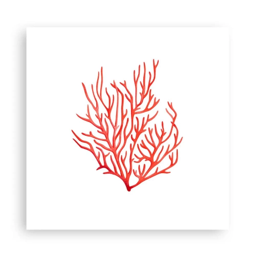 Poster - Coral filigranat - 30x30 cm