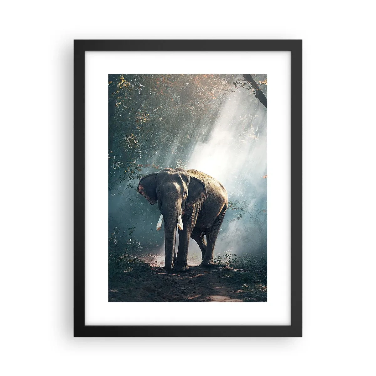 Poster în ramă neagră - O plimbare liniștită - 30x40 cm