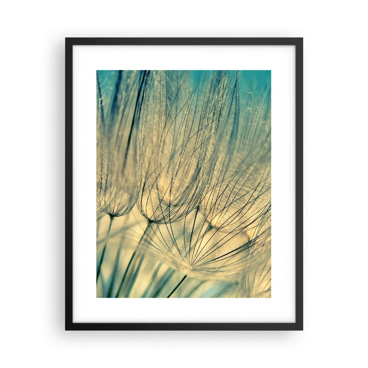 Poster în ramă neagră - Așteptând vântul - 40x50 cm