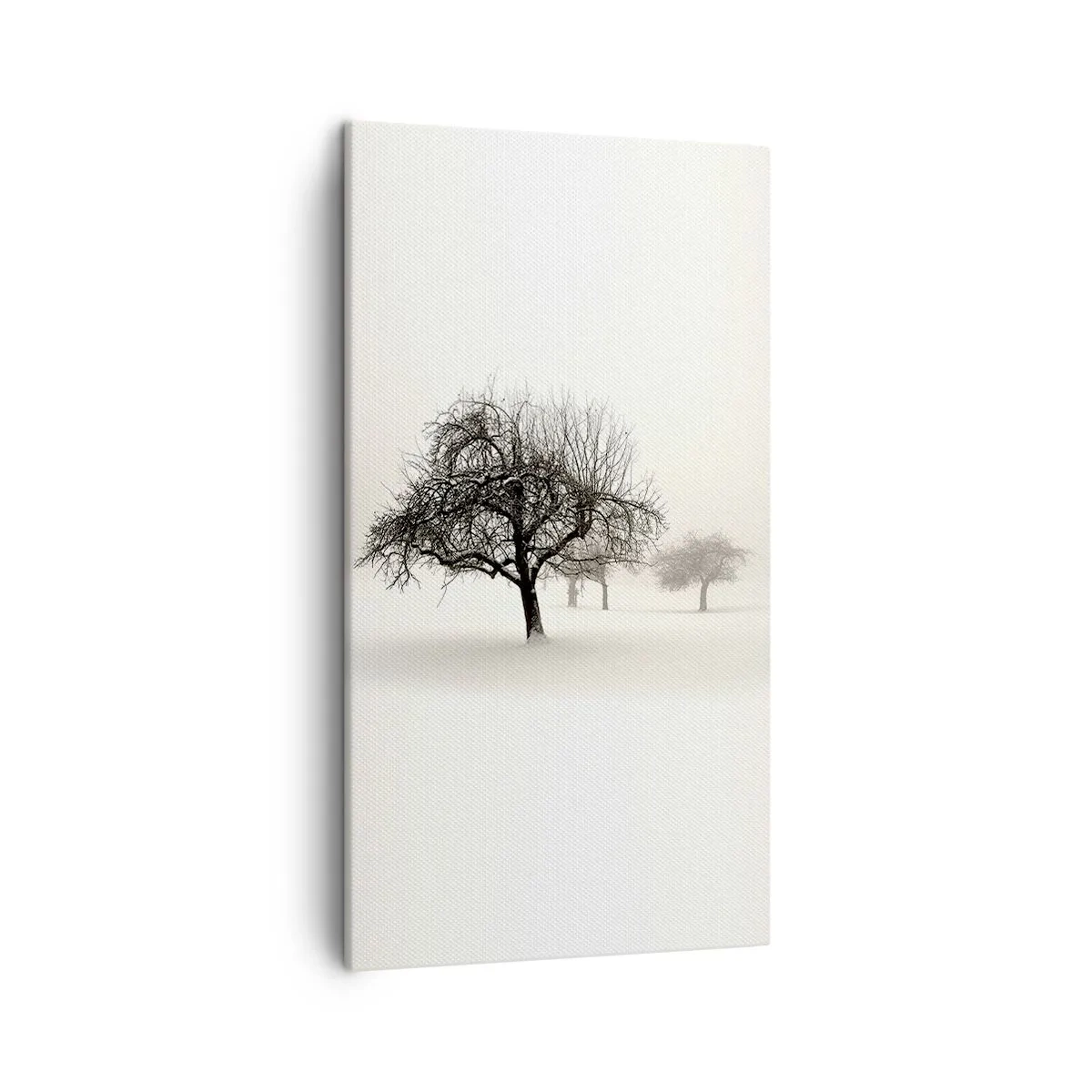 Tablou pe pânză - Hibernare - 45x80 cm