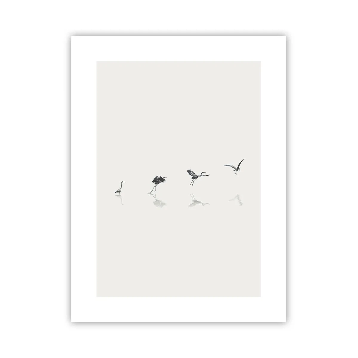 Poster - Patru pași simpli - 30x40 cm