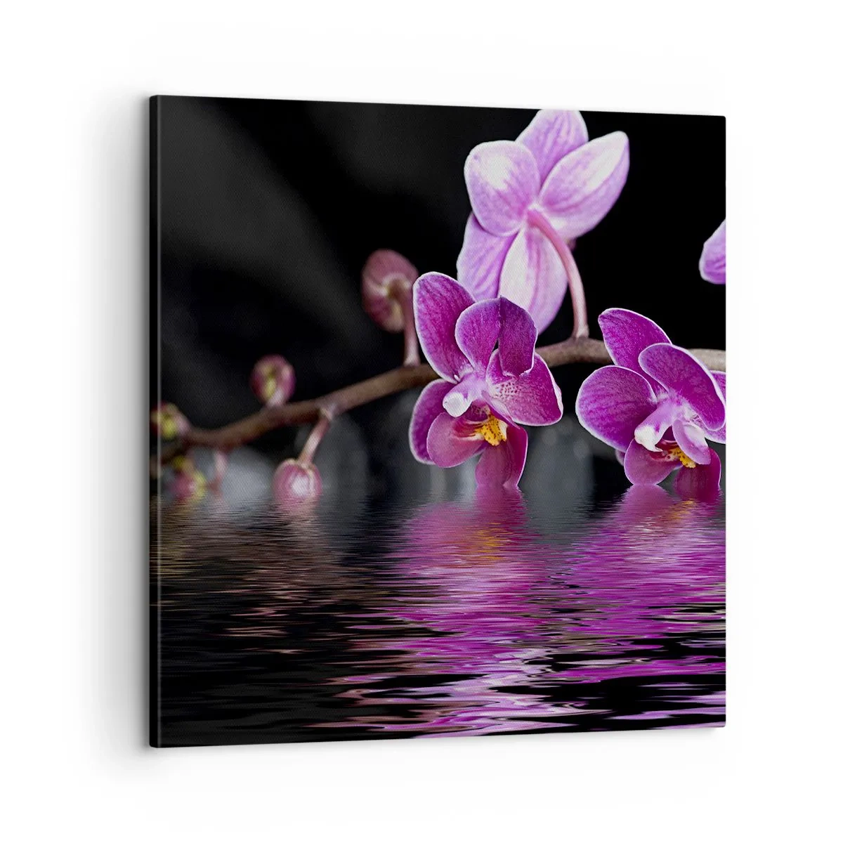 Tablou pe pânză - Reflecție de frumusețe în liliac - 60x60 cm