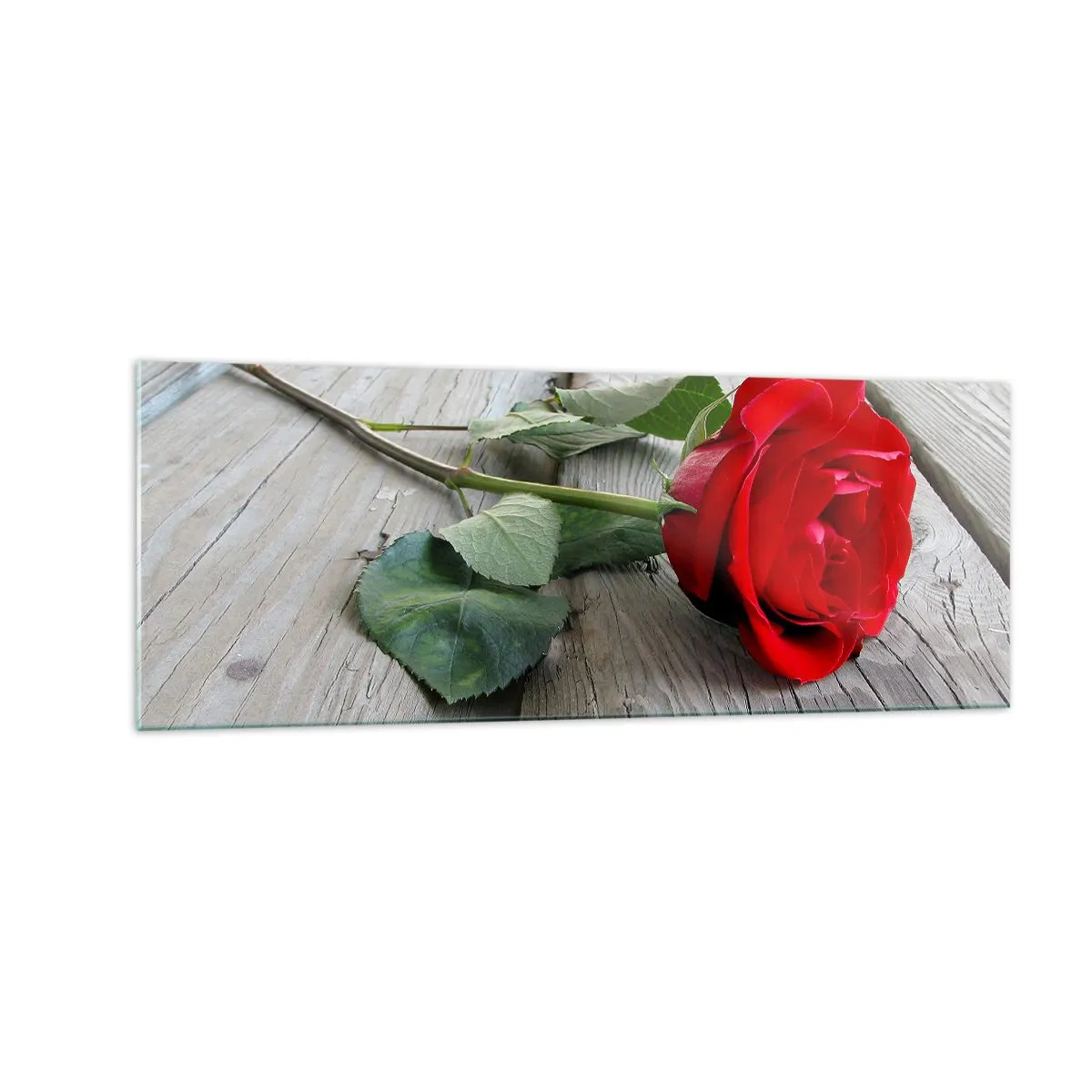 Tablou pe sticlă - Studiu în stacojiu - 140x50 cm