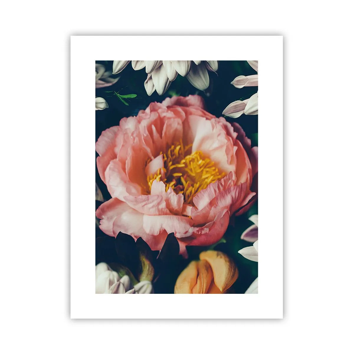 Poster - Cu splendoare barocă - 30x40 cm