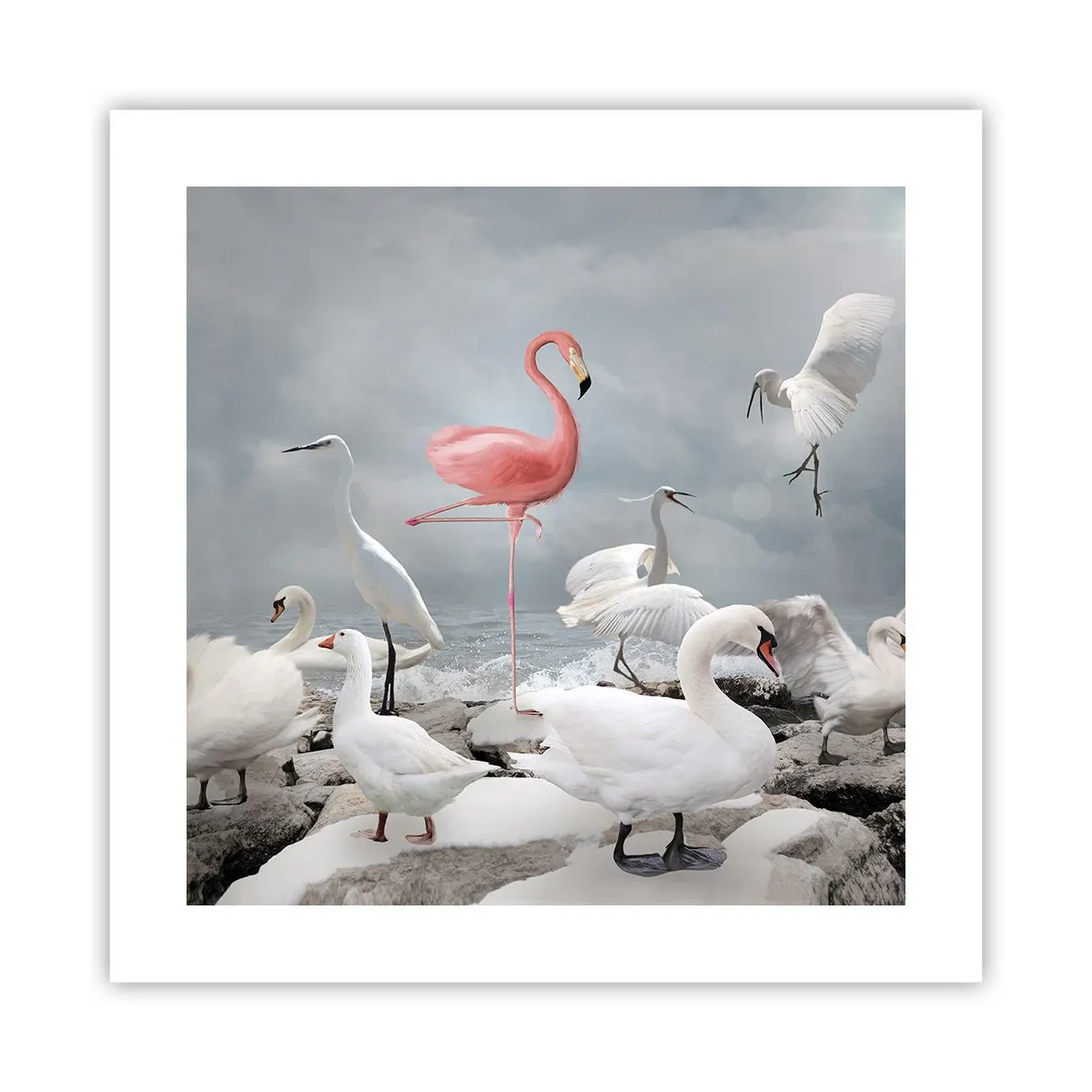 Poster - De unde am venit? - 40x40 cm