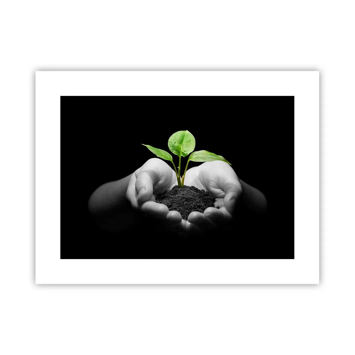 Poster - Iubesc natura, o protejez - 40x30 cm