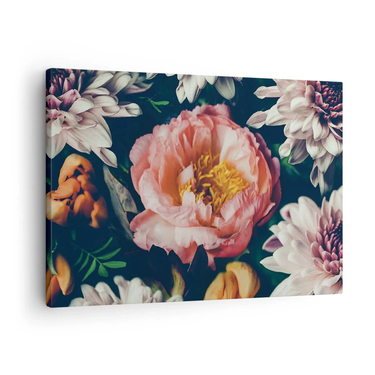 Tablou pe pânză Canvas - Aranjament floral cu bujor și crizanteme pe fundal închis - 70x50cm - Cu splendoare barocă - Decorațiune modernă pentru perete pentru living și dormitor ARTTOR