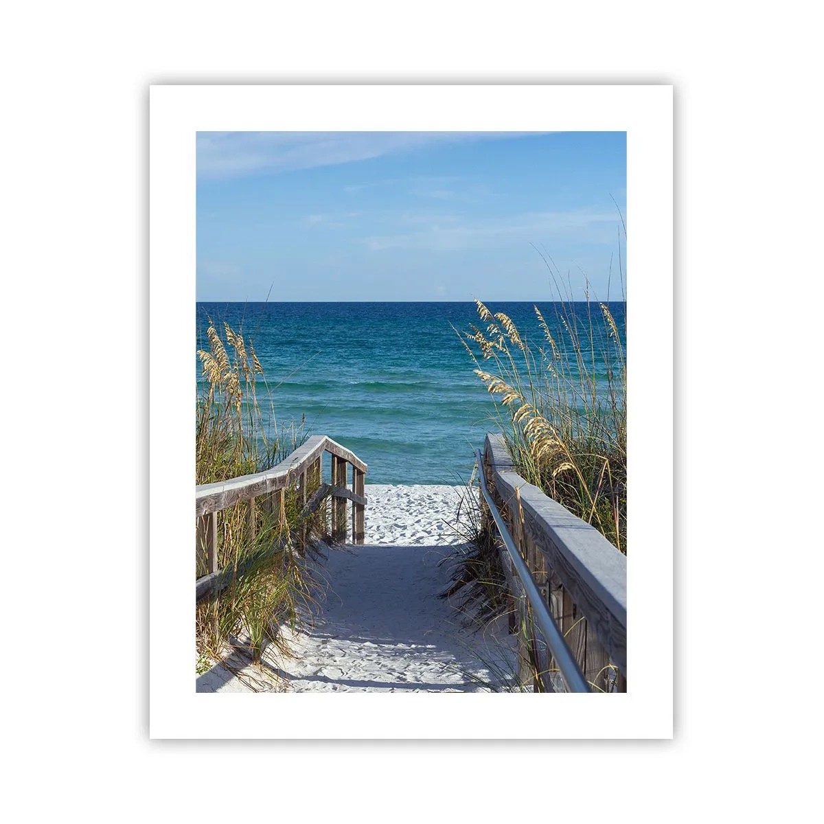 Poster - În soare, în vânt - 40x50 cm