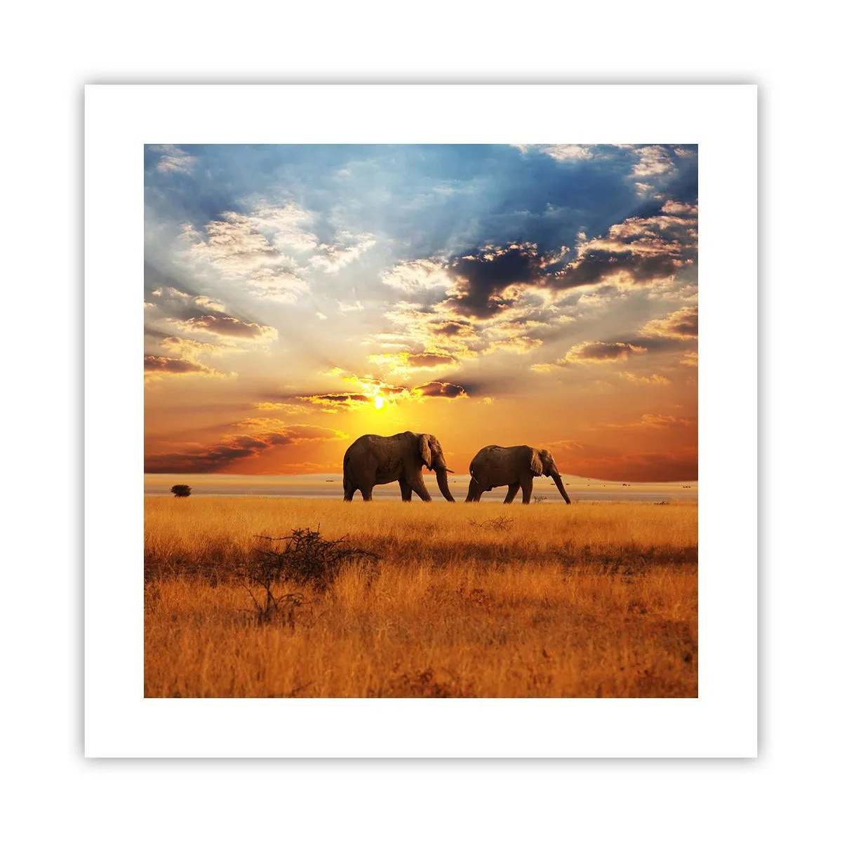 Poster - Plimbare în familie - 40x40 cm