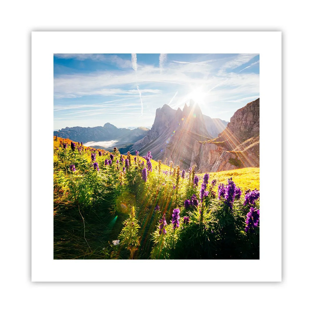 Poster - Viața secretă a ierburilor - 40x40 cm